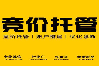 SEM推广公司案例：助力企业实现品牌战略布局
